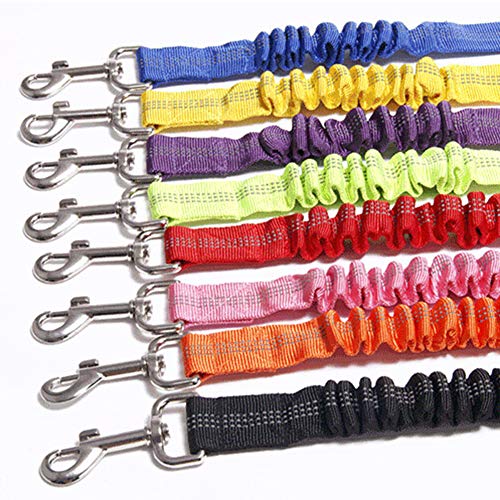 LEUM SHOP Einstellbare Hund Sicher Führt Puffer dehnbare Seil Nylon Pet Elastische Auto Sitzgurt
