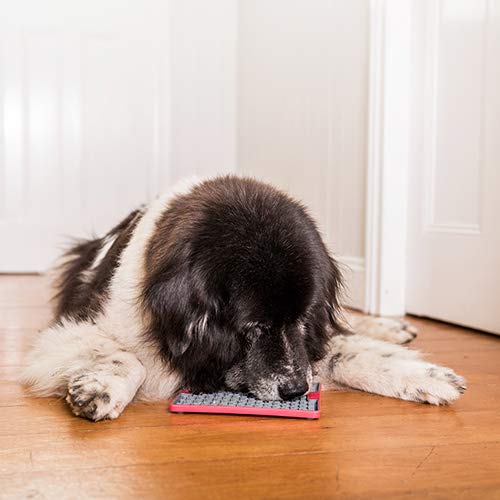 LICKIMAT BUDDY DELUXE REDSGL