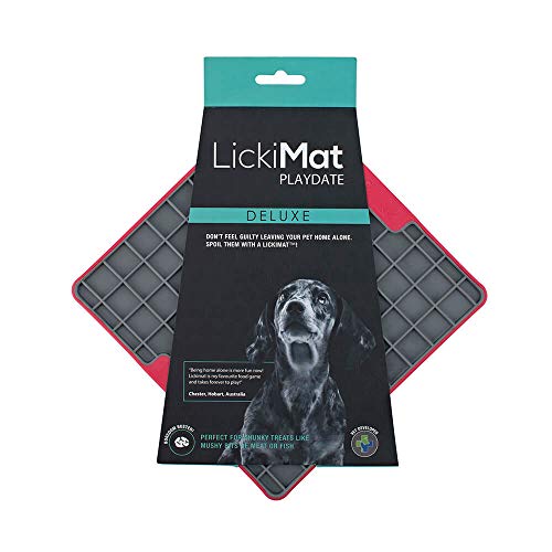 LICKIMAT PLAYDATE RED SGL
