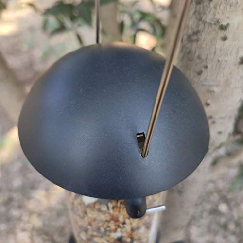 lijun Alimentador de Semillas de Aves Silvestres para Colgar Dispensador de Alimentos para pájaros Herramienta de alimentación de jardín al Aire Libre