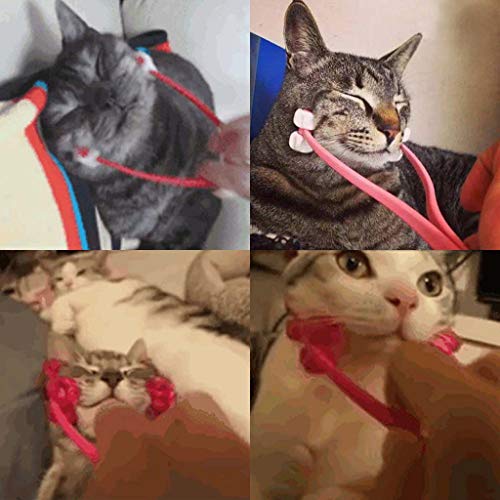lijun Masajeador multifunción de Cara Fina para Gatos, masajeador Interactivo para pies, masajeador de piernas