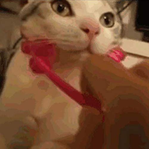 lijun Masajeador multifunción de Cara Fina para Gatos, masajeador Interactivo para pies, masajeador de piernas