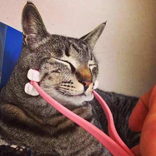 lijun Masajeador multifunción de Cara Fina para Gatos, masajeador Interactivo para pies, masajeador de piernas