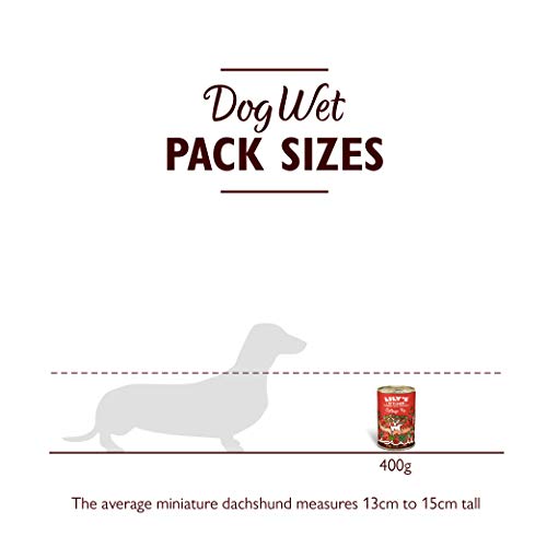 Lily's Kitchen Comida Húmeda Cottage Pie para Perro (6 x 400g)