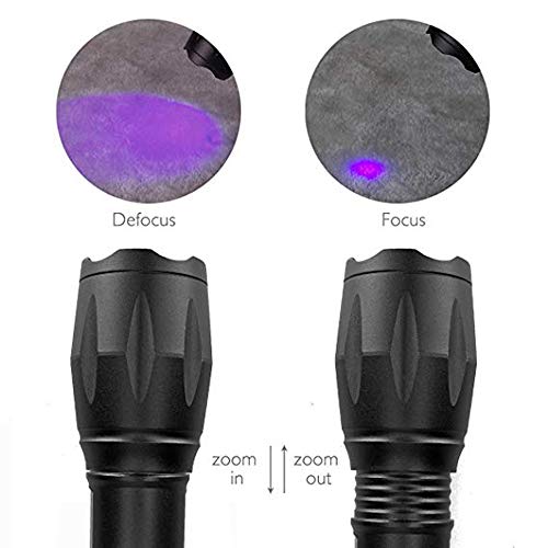 Linterna UV Antorcha Luz Negra 395nm Luz Ultravioleta Gato Perro Mascota Orina Detector de Manchas Detector Lámpara UV con Zoomable para Mascotas y Luz Blanca 2 en 1 Diseño