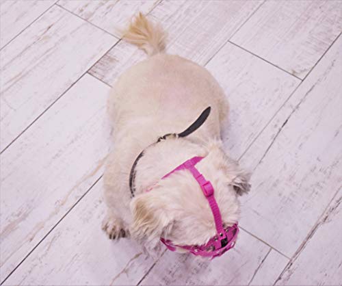 L&J Pets Uk Bozal para perro Shih Tzu, Pug y otros hocicos cortos de cara plana (M1, Rosa)