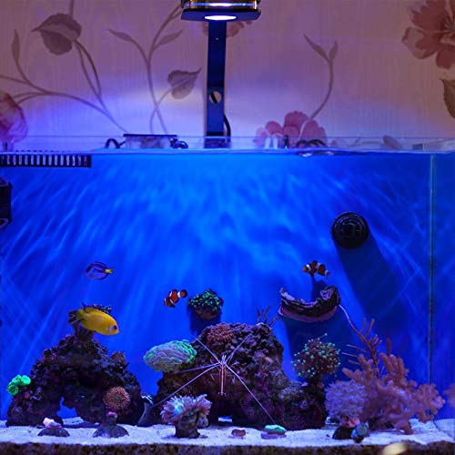 Lominie Marine Aquarium Light, 30W Nano Fish Light con Telecomando IR Adatto per Acquario Marino Da 45-60 cm (P30 Saltwater)