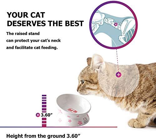 lovecabin Comedero Gato Elevado Inclinado, Comedero Gato Antivomito, Tazón De Gato Ortopédico, Material Saludable De Grado Alimenticio, Bigotes Sin Estrés, Antideslizante#3