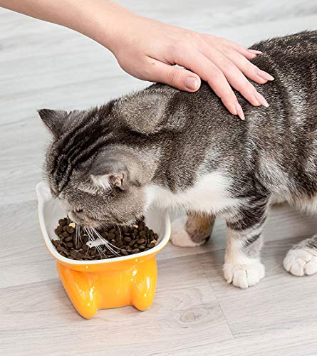 lovecabin Comedero Gato Elevado Inclinado, Tazones Antivomitos Gatos, Comedero Ortopedico para Gatos,Material Saludable De Grado Alimenticio, Bigotes Sin Estrés, AntideslizanteBlue