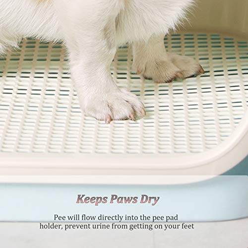 Lqdp Inodoro para Mascotas Perro Soporte Portátil para Entrenamiento de Inodoro para Perros, Bandeja de Entrenamiento para Orinal de Cachorro de Resina PP para Baño Interior (Color : Blue)