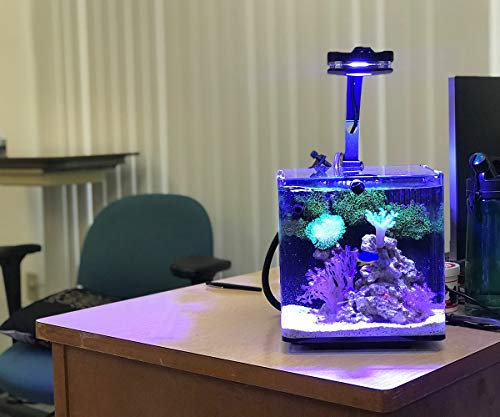 Lumini - Luz LED para acuario, agua salada de agua dulce, luz para acuario, para corales, Nano acuario plantado