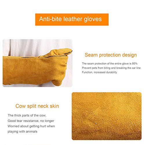LY-Rack Guantes para manejo de Animales Guantelete de protección Engrosada Anti-mordidas/arañazos, Guantelete de hámster Erizo Planeador del azúcar, para Perro Gato Loro Serpiente Lagarto