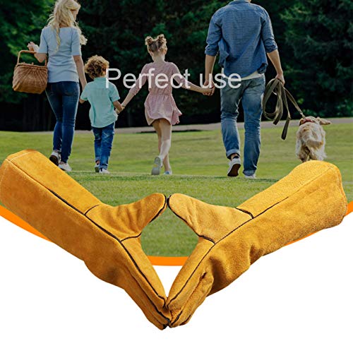 LY-Rack Guantes para manejo de Animales Guantelete de protección Engrosada Anti-mordidas/arañazos, Guantelete de hámster Erizo Planeador del azúcar, para Perro Gato Loro Serpiente Lagarto