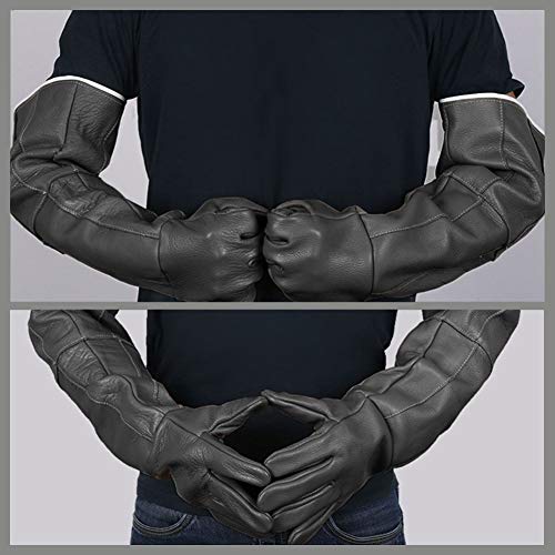 LY-Rack Manipulación de Animales Guantes Anti-mordidas/arañazos, para Bull Terrier Samoyedo Chihuahua Oso de Peluche Perro Corgi Mastín Tibetano Doberman Bulldog