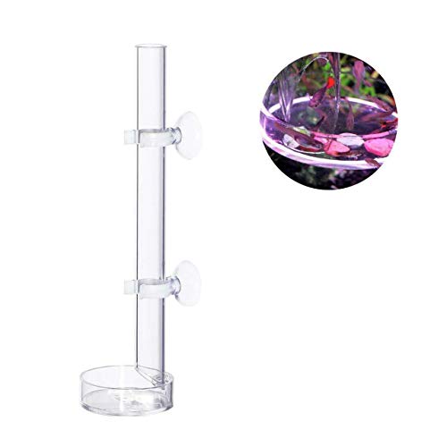 Magiin1 Pieza Acuario Comedero de Vidrio Transparente para Tanque de Peces camarón alimentación Fit para Peces, camarones, cangrejos, Abrazaderas y Animal benthic