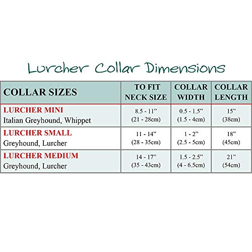 Malulu Digo Lurcher - Collar para Perro (tamaño Mediano)