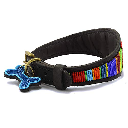 Malulu Digo Lurcher - Collar para Perro (tamaño Mediano)