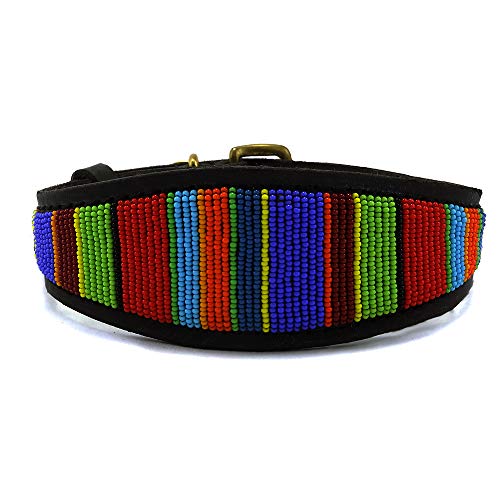 Malulu Digo Lurcher - Collar para Perro (tamaño Mediano)