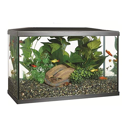 Marina 15256 - Kit de Acuario con Iluminación LED 10G, 38 L