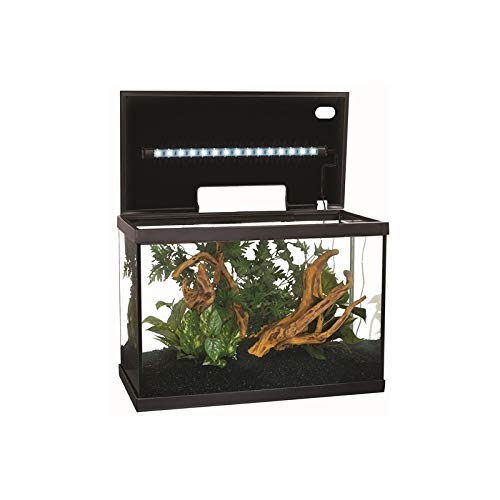 Marina 15256 - Kit de Acuario con Iluminación LED 10G, 38 L