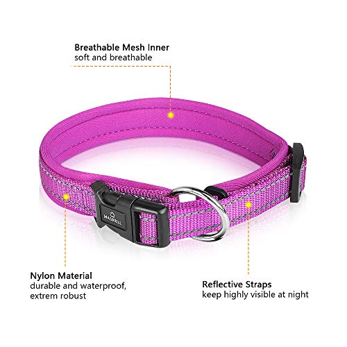 MASBRILL Collar de Perro Duradero y Reflectante, Ajustable Collar para Perros Grandes o Pequeños, Fabricado de Nylon con Suave Acolchado (Morado S)