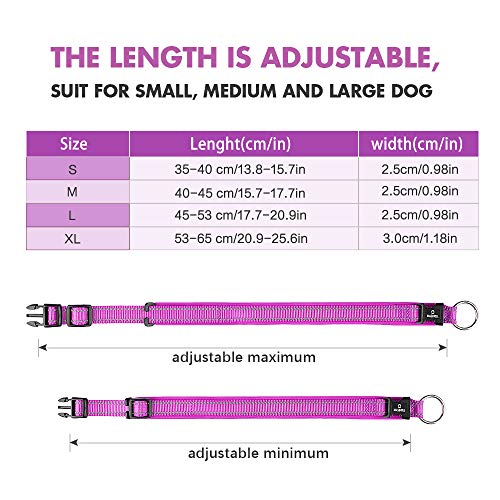 MASBRILL Collar de Perro Duradero y Reflectante, Ajustable Collar para Perros Grandes o Pequeños, Fabricado de Nylon con Suave Acolchado (Morado S)