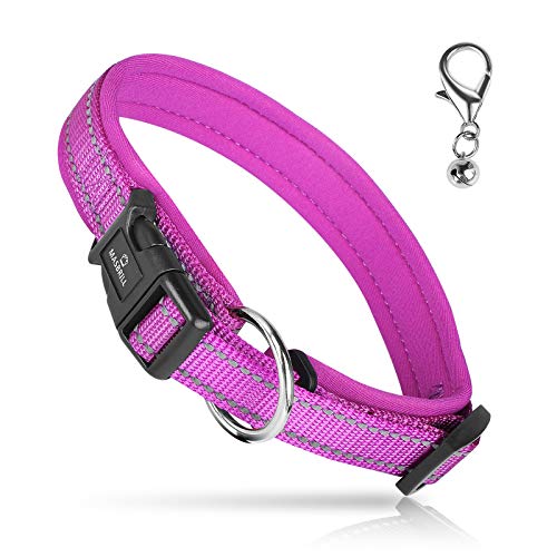 MASBRILL Collar de Perro Duradero y Reflectante, Ajustable Collar para Perros Grandes o Pequeños, Fabricado de Nylon con Suave Acolchado (Morado S)