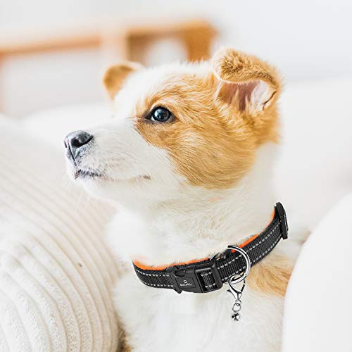 MASBRILL Collar de Perro Duradero y Reflectante, Ajustable Collar para Perros Grandes o Pequeños, Fabricado de Nylon con Suave Acolchado (Naranja L)