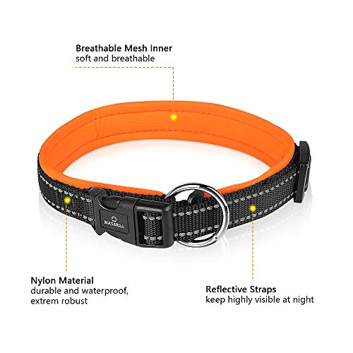 MASBRILL Collar de Perro Duradero y Reflectante, Ajustable Collar para Perros Grandes o Pequeños, Fabricado de Nylon con Suave Acolchado (Naranja L)