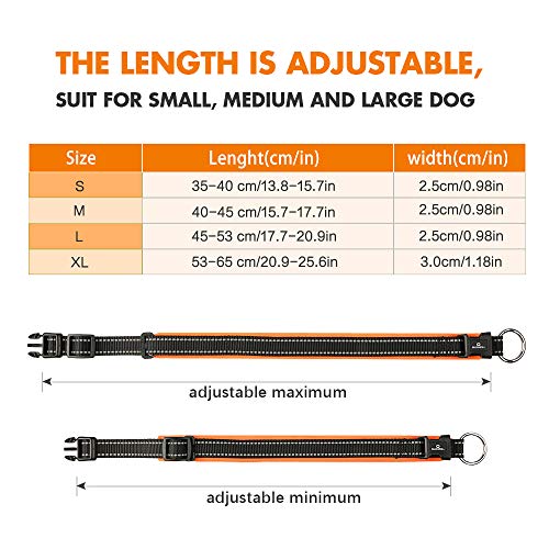 MASBRILL Collar de Perro Duradero y Reflectante, Ajustable Collar para Perros Grandes o Pequeños, Fabricado de Nylon con Suave Acolchado (Naranja L)
