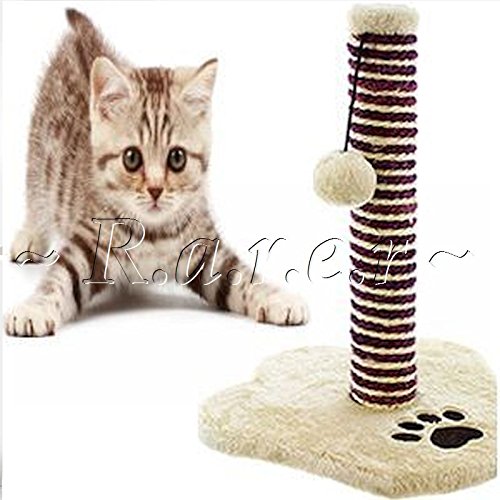 Mascota Gatito Gato Purrfect novio Scratch Masticar juguete divertido jugar marrón chocolate de altura poste Sisal puesto buena para Natural Recortar garras