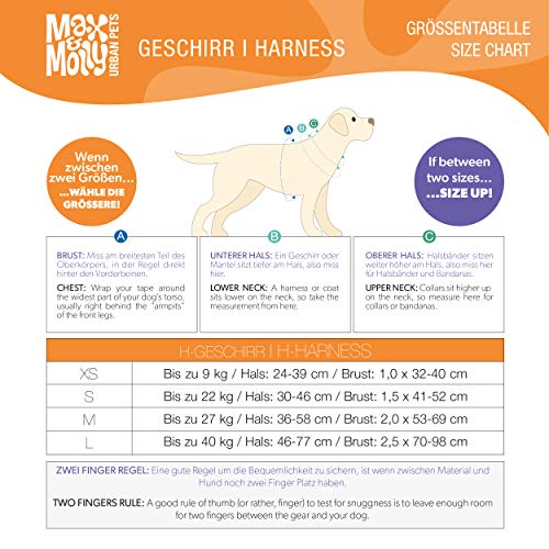 MAX & Molly Arnés para Perros, Acolchado, Neopreno, Muy Seguro y cómodo, Ajustable y fácil de Usar, Cebra