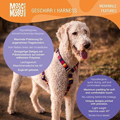MAX & Molly Arnés para Perros, Acolchado, Neopreno, Muy Seguro y cómodo, Ajustable y fácil de Usar, Cebra