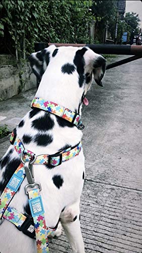 Max & Molly Puzzle Smart ID Collar
