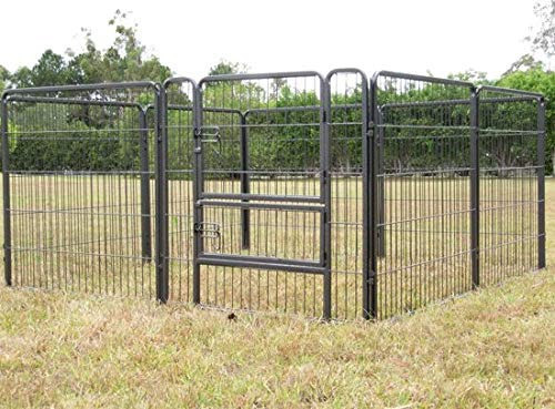 MAXX – Caño para cachorros para perros – parque – conejos pequeñas mascotas – Ø 210 cm (80 x 80 cm)