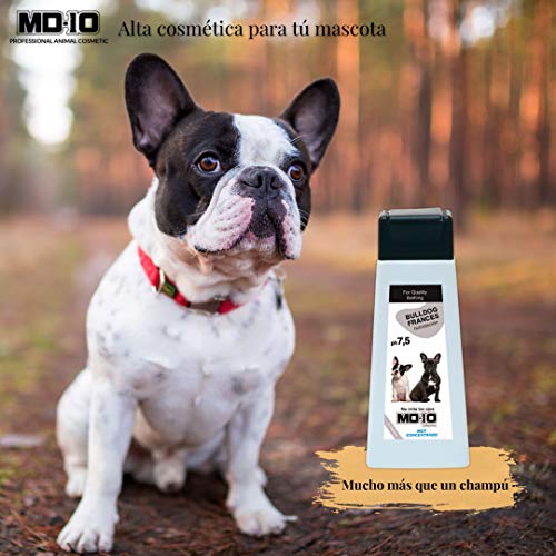 MD-10 COLLECTION Champú Bulldog Francés (300 ml)