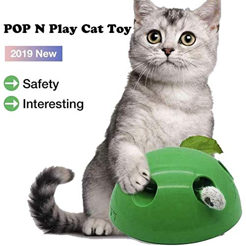 Mdlucz Juguetes para Gatos, Juguetes electrónicos para Gatos con ratón, interesantes Juguetes interactivos para Gatos, Equipo para atrapar Gatos, Herramientas, Garras, Suministros para Mascotas