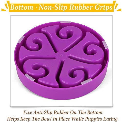 MEISISLEY Comederos para Gatos Comedero Perro Antivoracidad Cuencos para Perros Antideslizantes Gran Perro Perro Mediano Gato tazón alimentador Purple