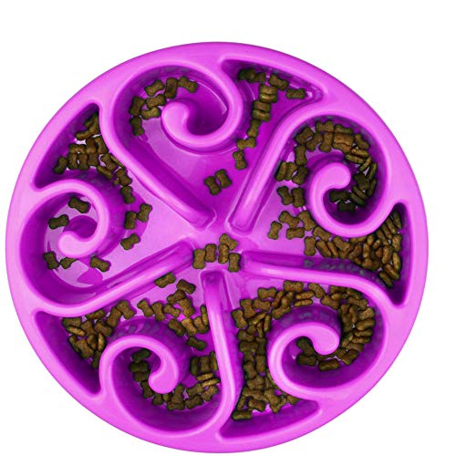 MEISISLEY Comederos para Gatos Comedero Perro Antivoracidad Cuencos para Perros Antideslizantes Gran Perro Perro Mediano Gato tazón alimentador Purple