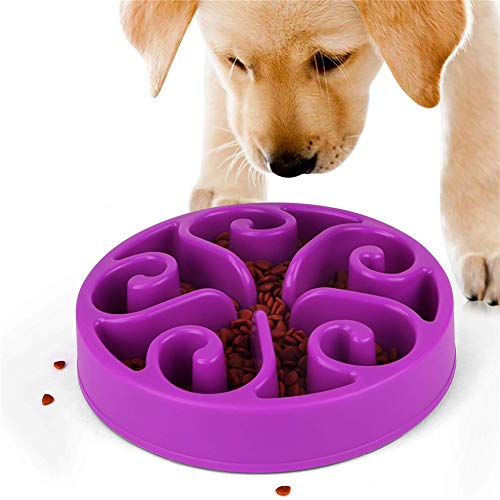 MEISISLEY Comederos para Gatos Comedero Perro Antivoracidad Cuencos para Perros Antideslizantes Gran Perro Perro Mediano Gato tazón alimentador Purple