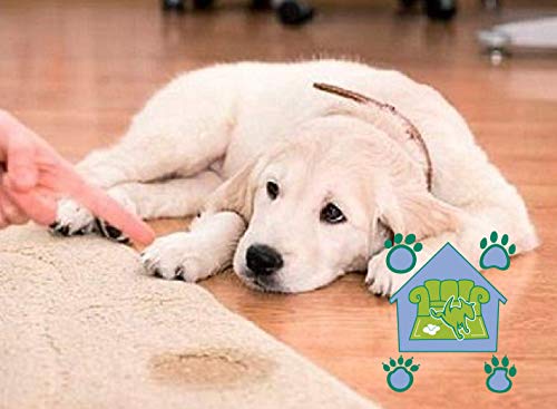 MENFORSAN Eliminador Enzimático de Orines Y Manchas Mascotas - 5 Litros