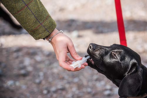 Mikki Comedero para tabletas para Perros, Cachorros, Gatos, Gatitos, píldoras para Mascotas jóvenes y Animales Salvajes
