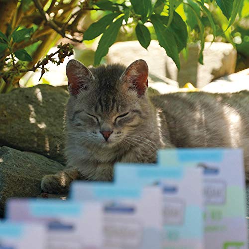 MjAMjAM - Snackbox para Gatos - Delicado pulmón de Cordero - Natural - 35 g