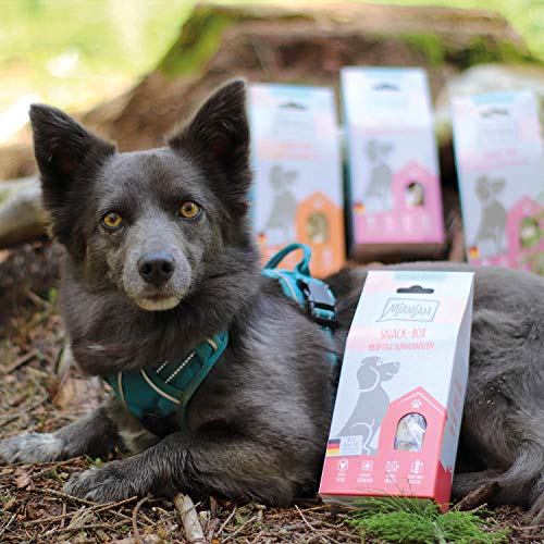 MjAMjAM - Snackbox para Perros - Langostinos delicados - Natural - 5 x 50 g