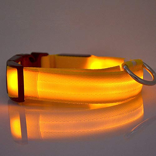 MMWW per cani da compagnia in Nylon LED collare per cani da compagnia Sicurezza notturna Collari per bagliore lampeggiante Anti-Perso Forniture per cani 7 Colori SML XL Taglia-BLU_ (45-52) x2,5 cm
