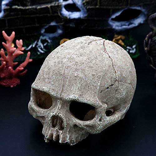 MoonyLI - Cráneo de decoración de acuario, depósito de peces de calavera de resina para acuario, decoración de reptiles de terrario