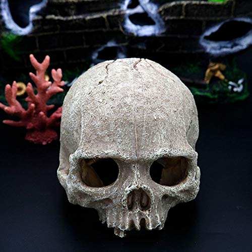 MoonyLI - Cráneo de decoración de acuario, depósito de peces de calavera de resina para acuario, decoración de reptiles de terrario