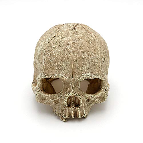 MoonyLI - Cráneo de decoración de acuario, depósito de peces de calavera de resina para acuario, decoración de reptiles de terrario
