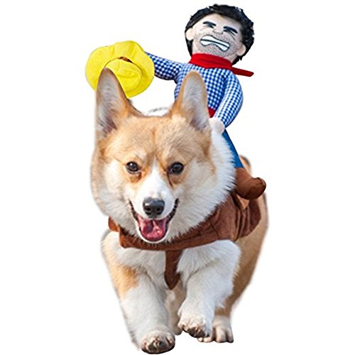 Morbuy Ropa para Mascotas Ropa de Mascotas de la Novedad Perro con Vaquero Jinete Gracioso Vestido de Fiesta para Perros y Gatos (M, color5)