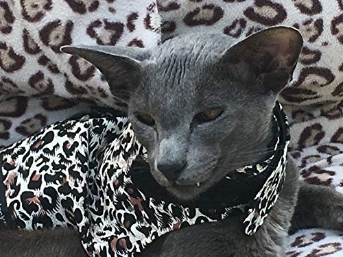 mynwood Cat chaqueta/arnés de guepardo adulto Gato – Escape prueba